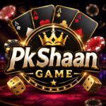 PkShaan Game